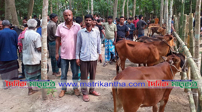পাংশার জোনাপাট্টা বাজারে পশুরহাট উদ্বোধন॥হাট বসবে প্রতি শনিবারে